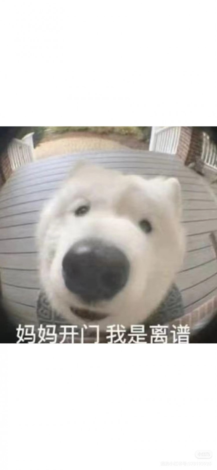 一堆人喊我給你介紹姐姐,不太現(xiàn)實哦