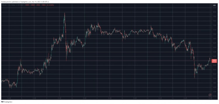 SOL、AVAX 違反市場情緒，BTC 跌至每周低點(diǎn)