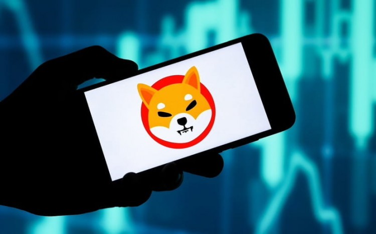一只鯨魚從幣安提取了6000億枚Shiba Inu(SHIB