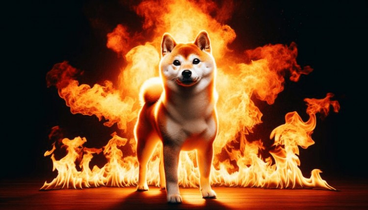 11 月超過 13 一億只柴犬被燒毀，這是什么意思？

