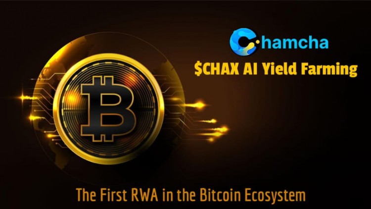 $CHAX RWA和Ai機槍池還有BRC