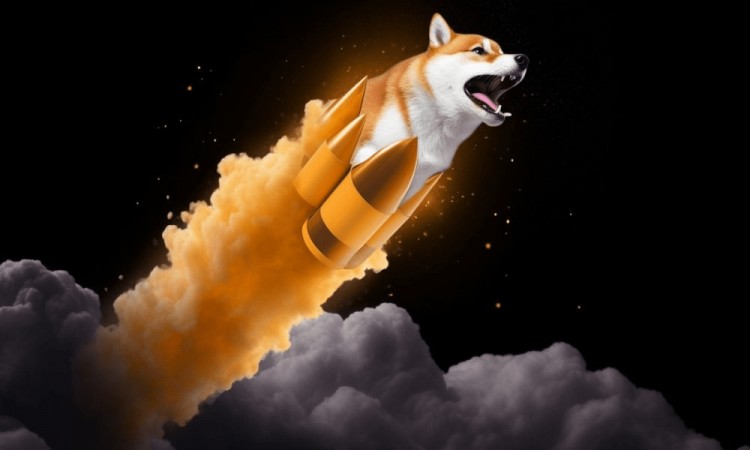Bonk救Solana，新狗幣爆漲4000% 在水火中！為什么$BONK可以成為炒作的目標？機會還是