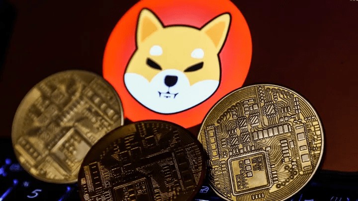 在牛市中，這些山寨幣能漲100倍嗎？牛市將于2024年開始嗎？