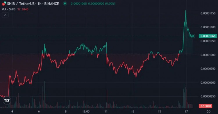 本周最值得注意的加密貨幣：XRP、ADA、SHIB