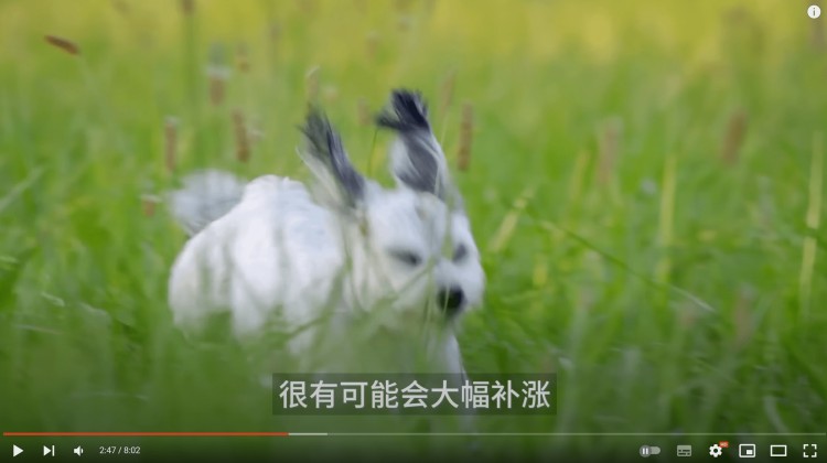 小道消息：這幣馬上即將暴漲！我加倉(cāng)了！比特幣巨大利好來襲！現(xiàn)在如何操作？不要誤判！快看看聰明錢是如何