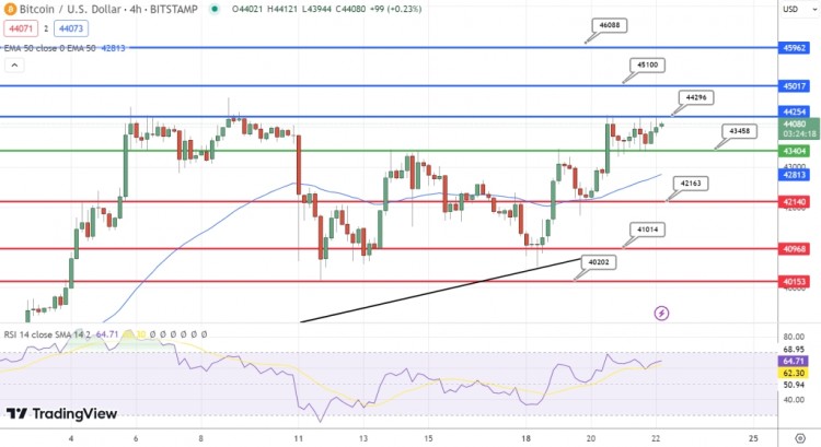 比特幣價格預(yù)測：BTC漲至44,050美元、Coinbase擴張以及馬斯克的2024年財務(wù)計劃