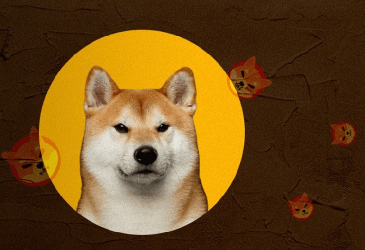 購(gòu)買500K個(gè)SHIB，成為百萬富翁
