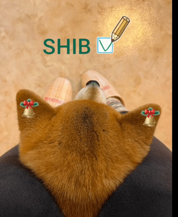 SHIBA INU (SHIB)預測表
