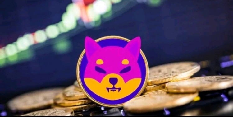 柴犬前 5 位私人持有者控制著 7% 的供應，他們是誰？