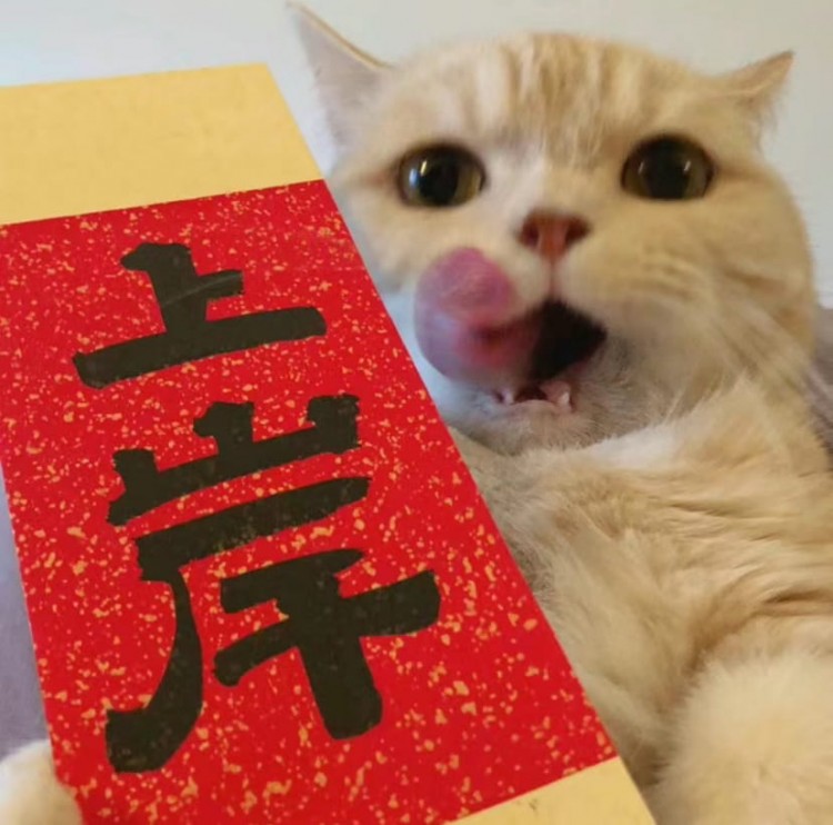 2024年比特幣大行情