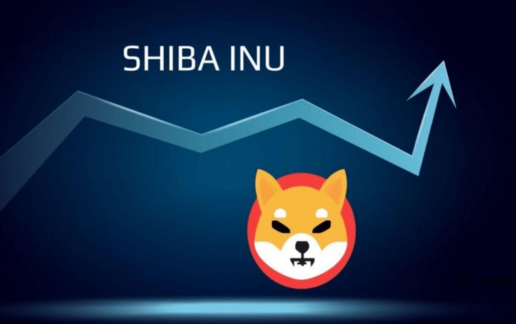 SHIB幣2024年1月底價格走勢預測