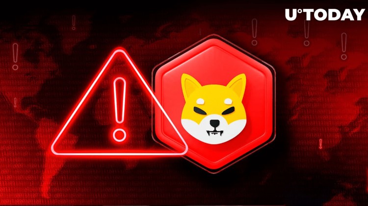 柴犬 (SHIB) 警告警報：柴犬預(yù)計 2024 年將發(fā)生巨大變化