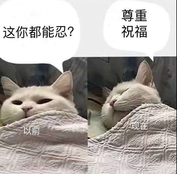 不再對各幣發(fā)表負面評價