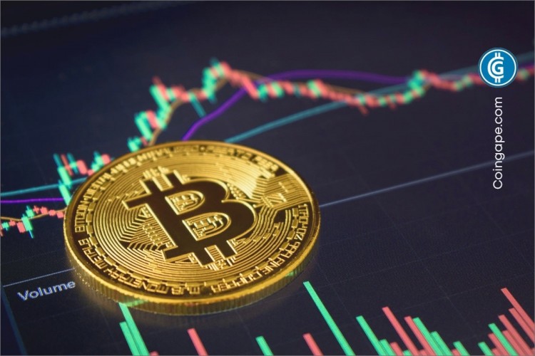 預測其價格將繼續(xù)上漲。