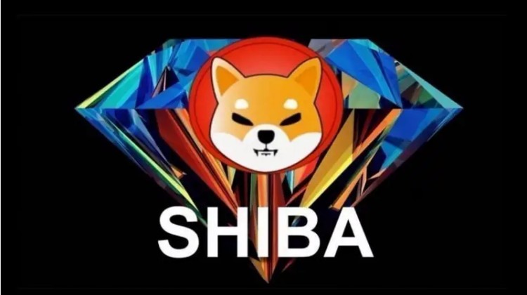 Shiba Inu：Elon Musk的X社交媒體或?qū)⑻砑覵HIB支付