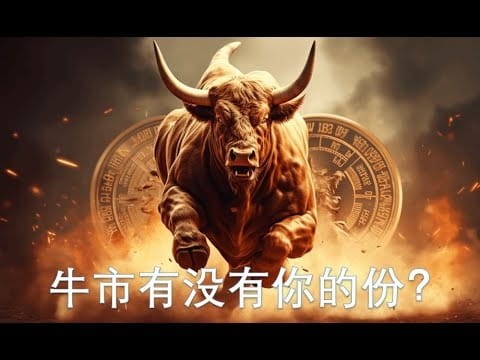 2024年新山寨幣概況