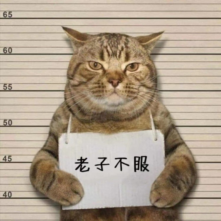 莊家與散戶:定價權(quán)與市場運作
