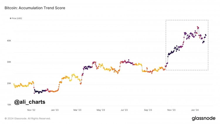 鯨魚們正在積累BTC 美元最顯著的趨勢