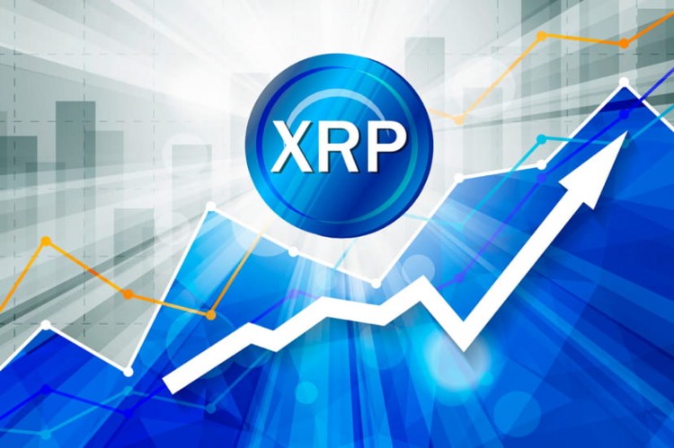 XRP投資機(jī)會(huì)與風(fēng)險(xiǎn)