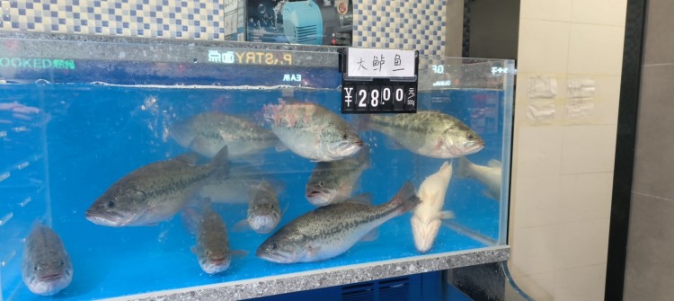 實戰(zhàn)分享：選擇正確賽道、標(biāo)的、平臺、時機，穩(wěn)健投資永遠(yuǎn)是首要選擇 感謝。