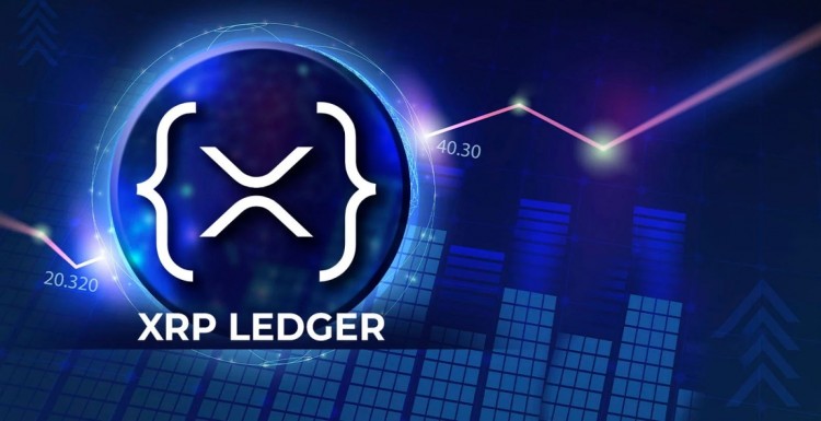 隨著第四季度鏈上活動(dòng)的增長(zhǎng)，XRP 賬本飆升 400%：詳情