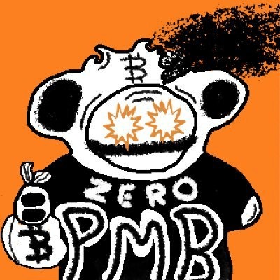 2月29日市場發(fā)售熱度很高的Puppet Maxi Biz (PMB)項目解析