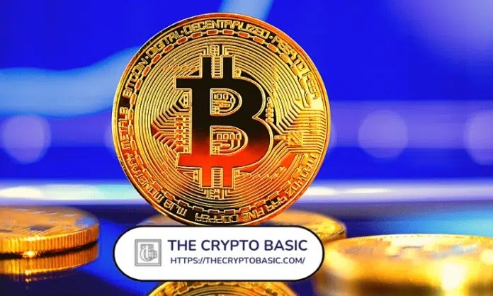 托管銀行首席執(zhí)行官和比特幣牛市揭示了最近一次比特幣上漲的原因