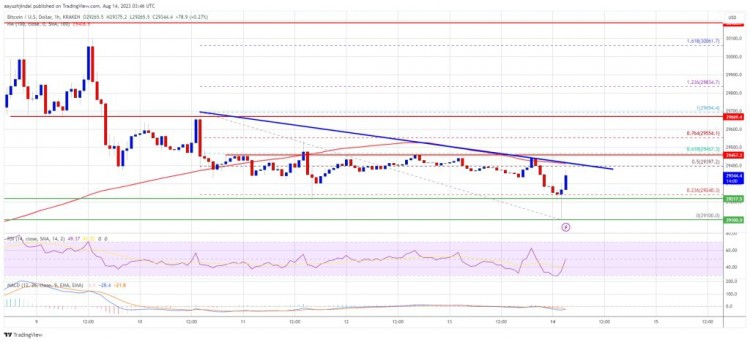 連續(xù)下跌。