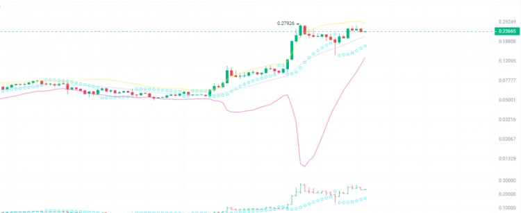 2024 年即將在牛市爆發(fā)100倍的5種加密貨幣！