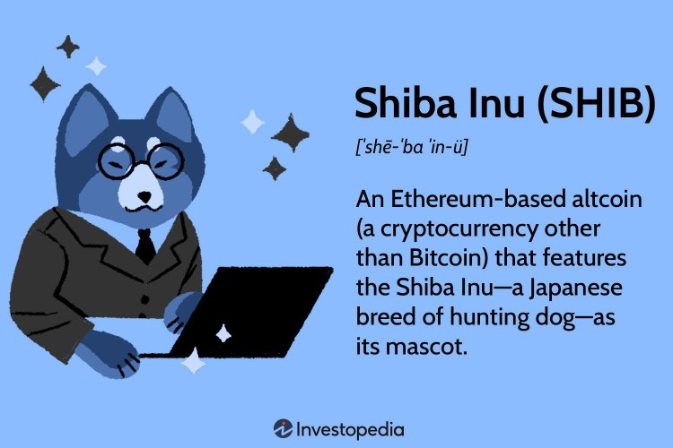 Pepe 和 Shiba Inu 因價(jià)格大幅波動而備受關(guān)注。