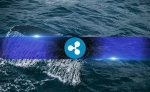 XRP暴跌引起鯨魚關(guān)注