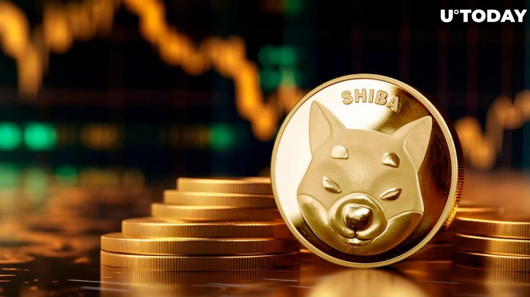 Shiba Inu (SHIB) 遭遇戲劇性逆轉(zhuǎn)