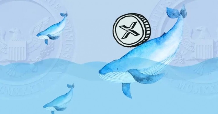 5月6日SEC截止日期前,神秘大鯨魚(yú)轉(zhuǎn)移2800萬(wàn)XRP引關(guān)注