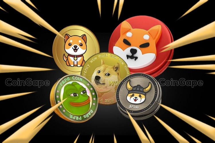 2024 年 5 月最值得投資的 Meme 代幣：