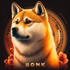 Bonk Meme Coin：投資模因財(cái)富