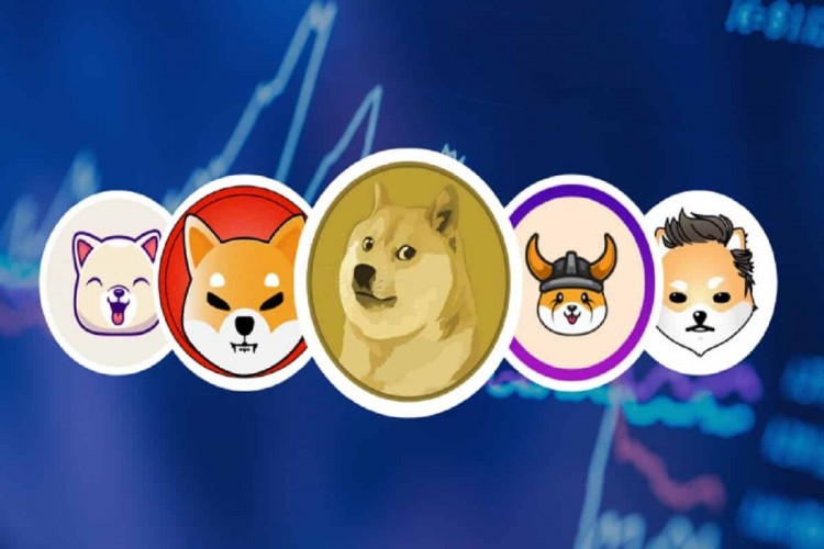 現(xiàn)在購買并持有 SHIB、FLOKI、BONK 的 5 個(gè)理由