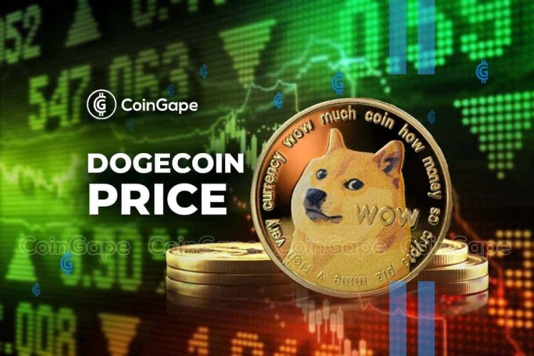 DOGE-追隨者的瘋狂狂潮