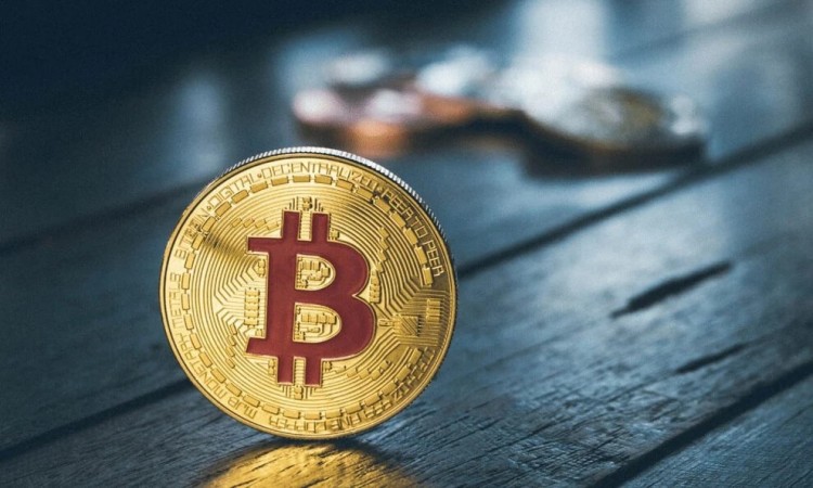 鯨魚持有比特幣數(shù)量超過40%