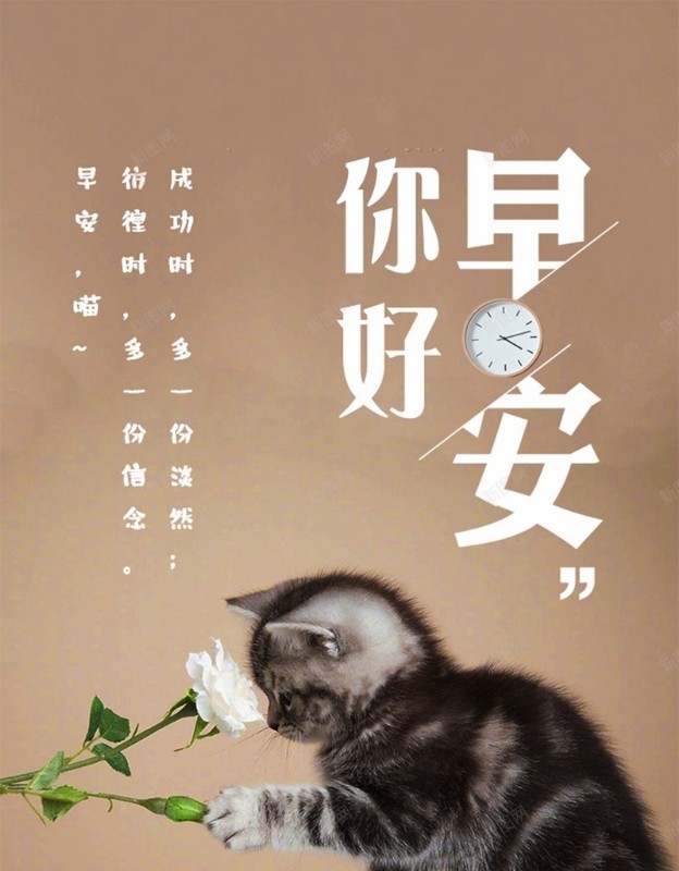 [毅博說幣]牛市行情與虹吸效應(yīng)