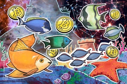 分析師稱，比特幣跌破 70,000 美元的日子屈指可