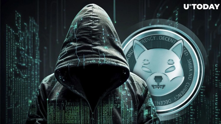 SHIB團隊的官方社交媒體專家Lucie分享加密貨幣市場現(xiàn)狀