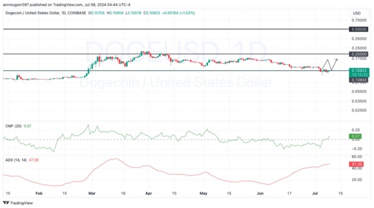 狗狗幣價格預(yù)測：DOGE 能否達到新高還是不可避免的下跌？