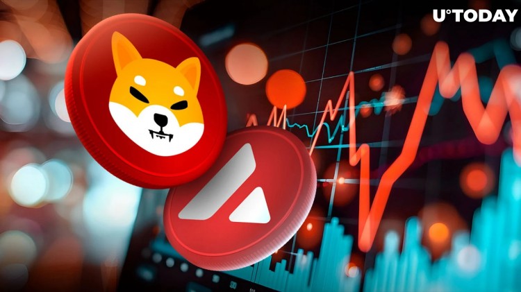 Shiba Inu (SHIB) 價格上漲 10%，領(lǐng)先 AVAX
