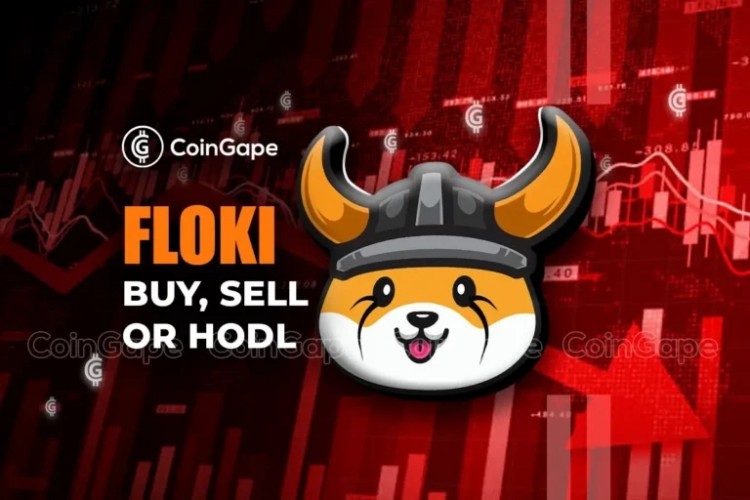Floki價格上漲超過50%