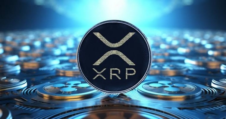 XRP 反彈至 0.65 美元