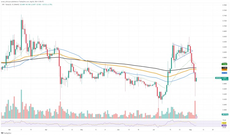 XRP 暴漲：你錯過了這次大幅上漲嗎？