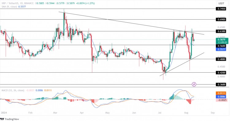 瑞波幣 (XRP) .