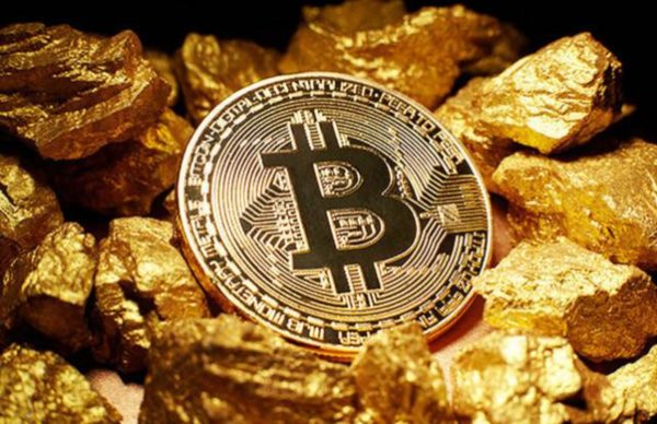 狗狗幣(DOGE)價(jià)格預(yù)測:2023年11月底
